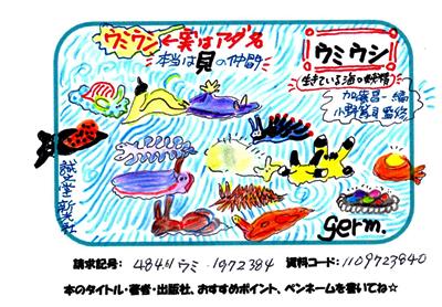 ウミウシの画像