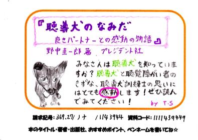 聴導犬のなみの画像